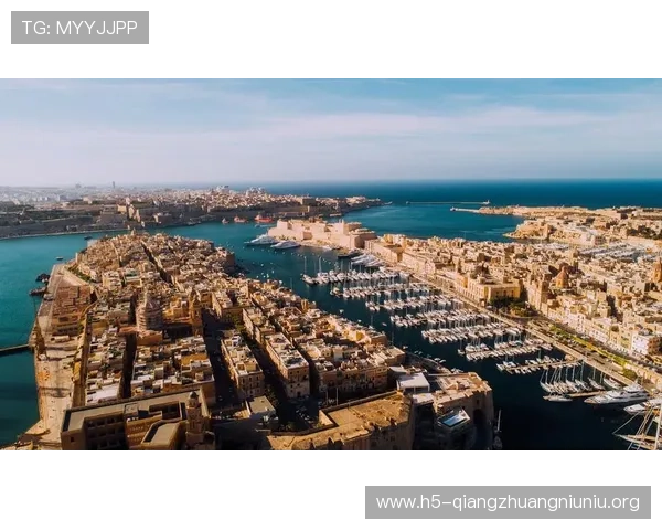 世界杯民主刚果乌兹别克斯坦现场观赛注意事项及安全保障措施全解析